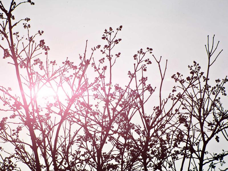 sudoku pattern recognition screenshot 1