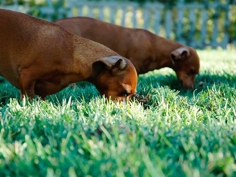 sudoku timer challenge screenshot 6